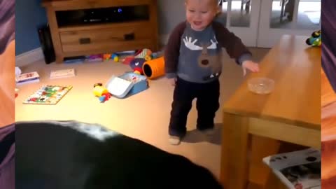 Funny Babies Laughing Hysterically at Dogs Compilation,babies laughing hysterically,