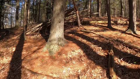 Hiking! Looking for new adventures. ￼