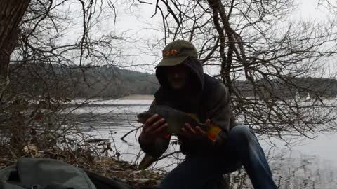 Feeder Fishing Frensham Gt Pond. Big Rudd and Perch