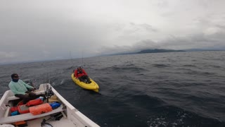 Fisherman Catches Massive Marlin from Kayak