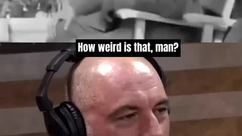 Joe Rogan watching Hitler on drugs