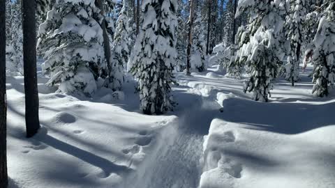 Truly Winter-rific – Central Oregon – Swampy Lakes Sno-Park – 4K