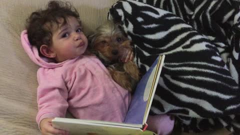 Clever Girl Reads A Bedtime Story To Her Puppy