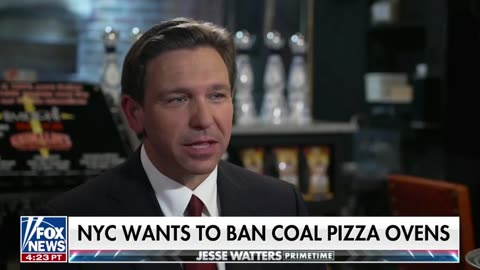 Gov. DeSantis on New York wanting to crack down on coal and wood-fired pizza ovens