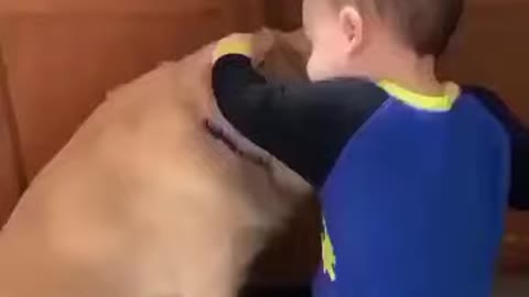 Dog hugging a little boy, This is adorable