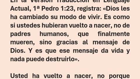 La Iglesia: ¿Organización Terrenal o Cuerpo de Cristo?