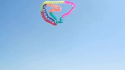 Snake Kite in the Sky of Yangjiang city