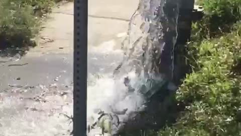 Fire hydrant that went out of control