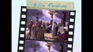 November 12th Bible Readings