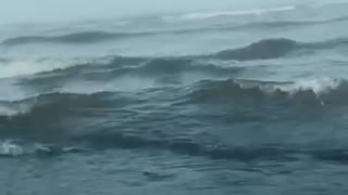 Foggy morning waves (instantly feel at peace!)