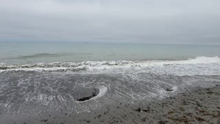 Beach at Dungeness Recreational Park