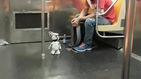 Man in red with robot dog on train