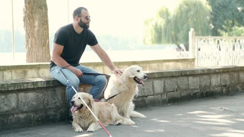 Blind Man petting His Dog