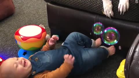 Baby Can't Stop Laughing At Dog Popping Bubbles