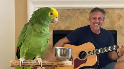 Woowww..singing parrot...😮😮😮