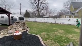 A Saint Paddy's Day Leprechaun Steals the Toilet Paper