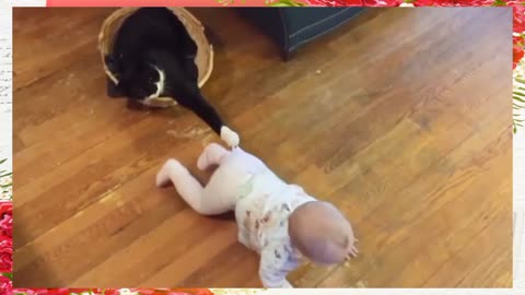 Baby and Cat Fun and Cute #1