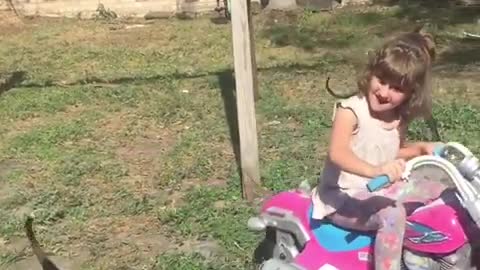 Little girl invents hilarious way to play with foster dogs