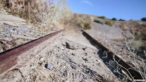 Triassic Times at Berlin-Ichthyosaur State Park in Nevada! | Video