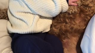 Baby Takes A Nap With Fluffy Doggy