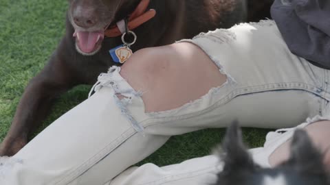 A Woman Petting Her Dogs