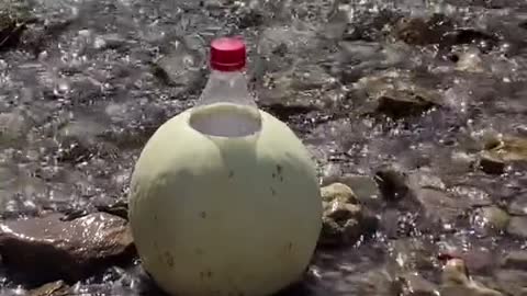 Bottle explosion 💥