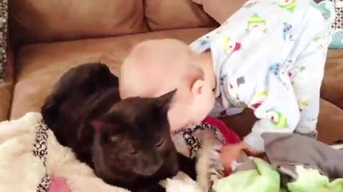 Baby and Cat Fun and Cute # - Funny Baby Video