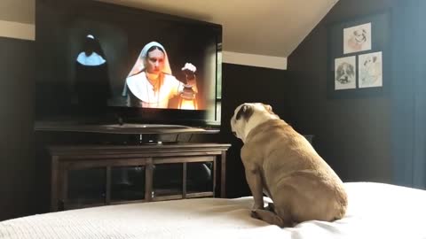 Bulldog’s Reaction To The Nun Trailer