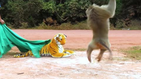 Monkey's Reaction Was the Best Promise! Fake Lion Prank