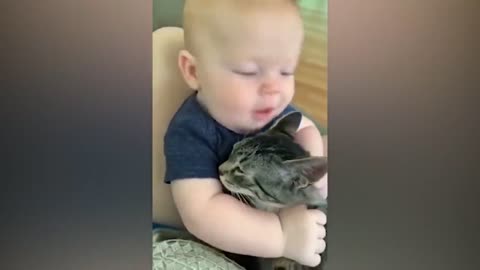 Baby bites cat