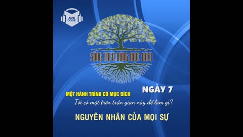 SỐNG THEO ĐÚNG MỤC ĐÍCH | NGÀY 7: Nguyên Nhân Của Mọi Sự