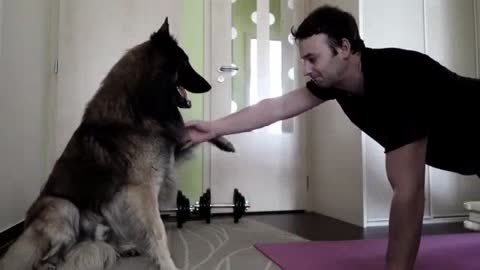 ⁣Dog Helps His Owner With Quarantine Workout