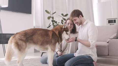 Couple Playing With Their Dog 2#