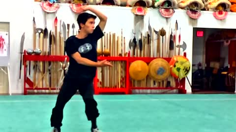 Shaolin Wu Xing Hu Shou 五形虎手