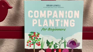 Companion Planting for Beginners