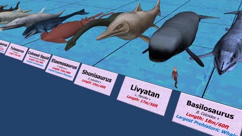 Sea Monsters Size Comparison