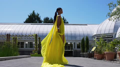 Oscar de la Renta, Pleated Chiffon Gown