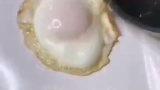 Different Ways to Cook an Egg!