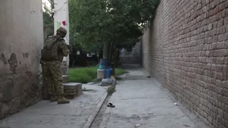 EE.UU. y los talibanes acuerdan reducir la violencia durante siete días