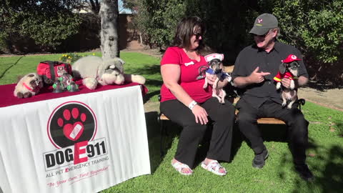 Season 5, Episode 8: Featuring Genéte M. Bowen of DogE911 All Pet Emergency Training