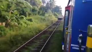 Trains Race