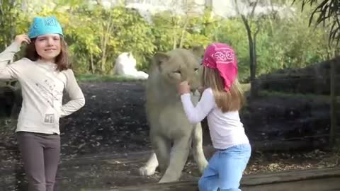 Kids who are playing with lions