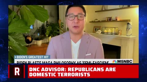 "Republicans are a domestic terrorist cell operating in America" - DNC Advisor