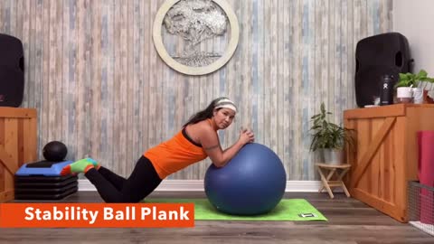 HOW TO: Stability Ball Planks