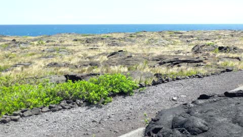 Lava Field at Hawaii's Volcano National Park