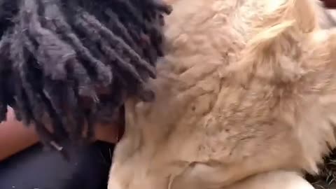 Lion King as a pet with Mowgli