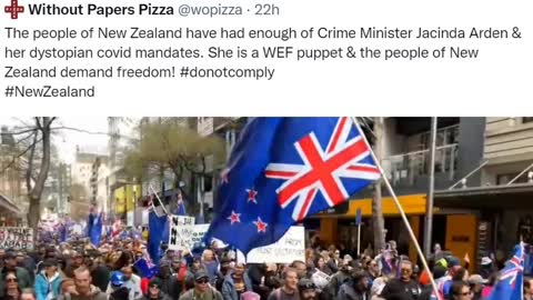 Well known Canadian hockey player post this on twitter. @TheoFleury14 Go New Zealand 🇳🇿 The people of New Zealand have had enough of Crime Minister Jacinda Arden & her dystopian covid mandates. She is a WEF puppet & the people of New Zealan