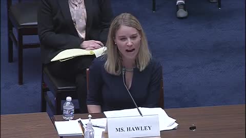 ADF senior counsel Erin Hawley on people criticizing pro-life pregnancy centers