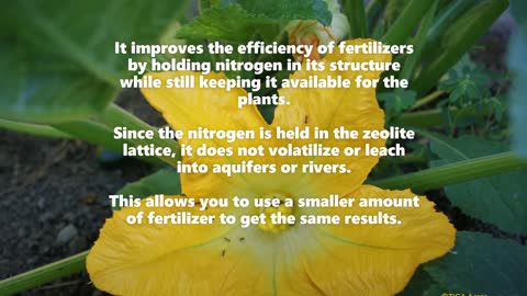 What is Zeolite, What Can It Do For Your Garden?