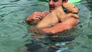 Puppy's first swim is a huge success